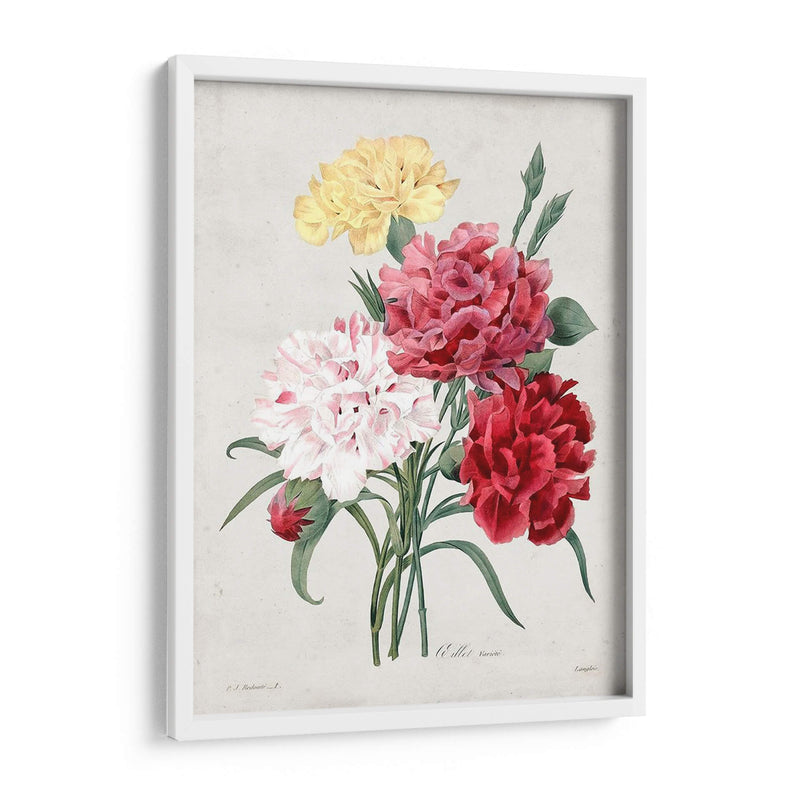 Redute Bouquet I - Pierre Redoute | Cuadro decorativo de Canvas Lab