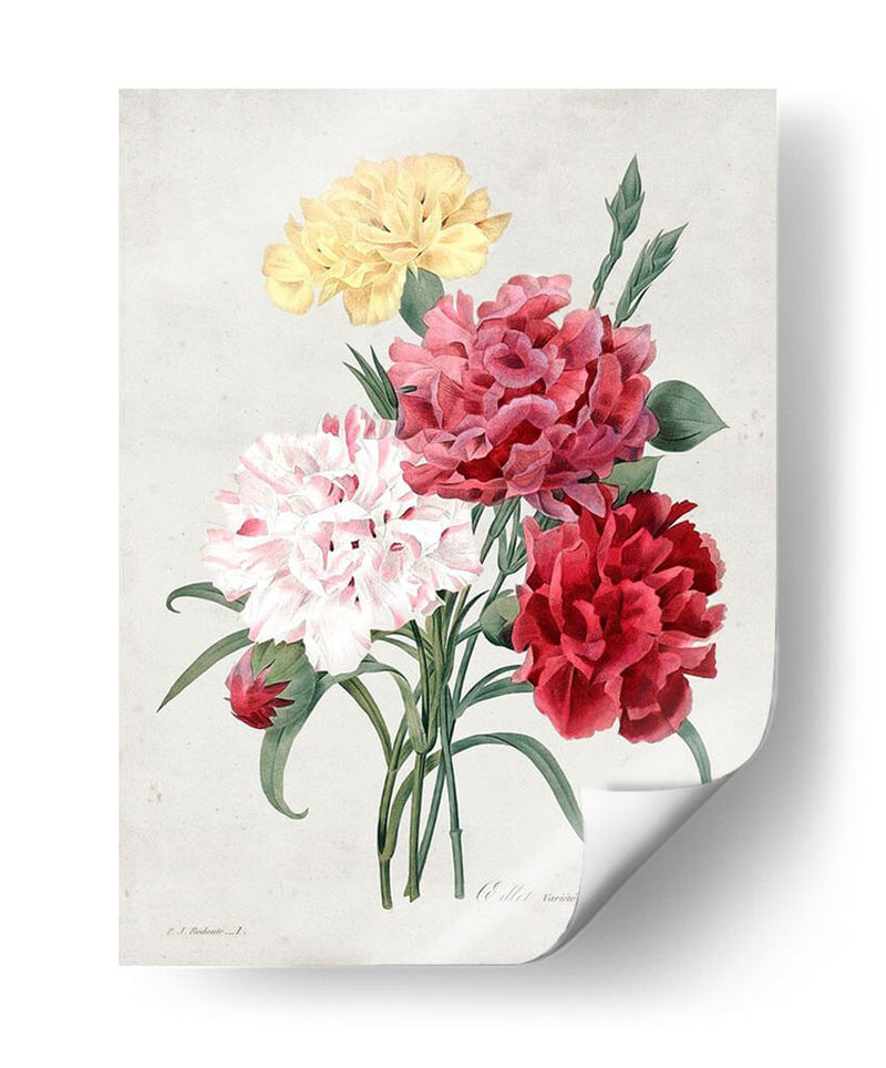 Redute Bouquet I - Pierre Redoute | Cuadro decorativo de Canvas Lab