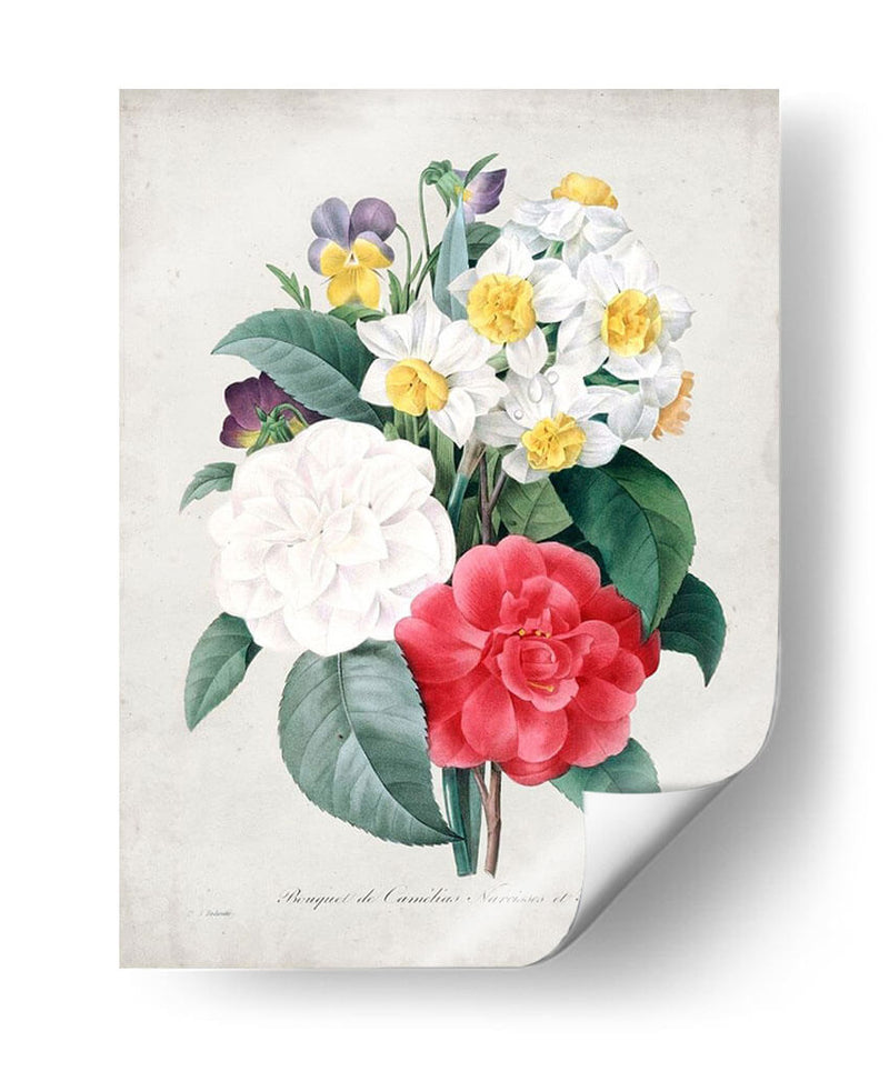 Redute Bouquet Iii - Pierre Redoute | Cuadro decorativo de Canvas Lab