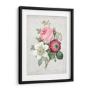 Redute Bouquet Iv - Pierre Redoute | Cuadro decorativo de Canvas Lab