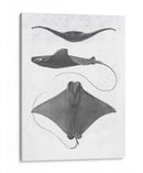 Rayas De Escala Gris Ii - Studio W | Cuadro decorativo de Canvas Lab