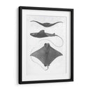 Rayas De Escala Gris Ii - Studio W | Cuadro decorativo de Canvas Lab