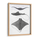 Rayas De Escala Gris Ii - Studio W | Cuadro decorativo de Canvas Lab