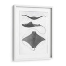 Rayas De Escala Gris Ii - Studio W | Cuadro decorativo de Canvas Lab