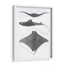 Rayas De Escala Gris Ii - Studio W | Cuadro decorativo de Canvas Lab