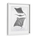 Rayas De Escala Gris Iii - Studio W | Cuadro decorativo de Canvas Lab