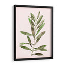 Hojas Rosadas Suaves I - Grace Popp | Cuadro decorativo de Canvas Lab
