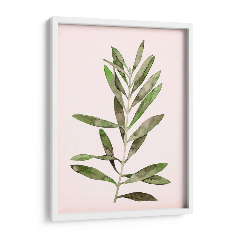 Hojas Rosadas Suaves I - Grace Popp | Cuadro decorativo de Canvas Lab