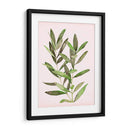 Hojas Rosadas Suaves Ii - Grace Popp | Cuadro decorativo de Canvas Lab