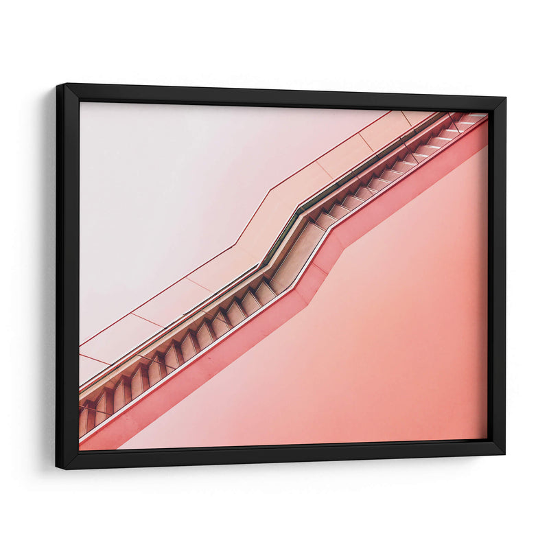 Rosa que eleva | Cuadro decorativo de Canvas Lab