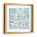 Algas En Aqua I - Vision Studio | Cuadro decorativo de Canvas Lab