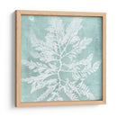 Algas En Aqua I - Vision Studio | Cuadro decorativo de Canvas Lab