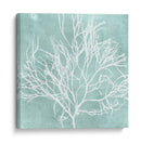 Algas Marinas En Aqua Ii - Vision Studio | Cuadro decorativo de Canvas Lab