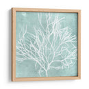 Algas Marinas En Aqua Ii - Vision Studio | Cuadro decorativo de Canvas Lab