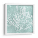Algas Marinas En Aqua Ii - Vision Studio | Cuadro decorativo de Canvas Lab
