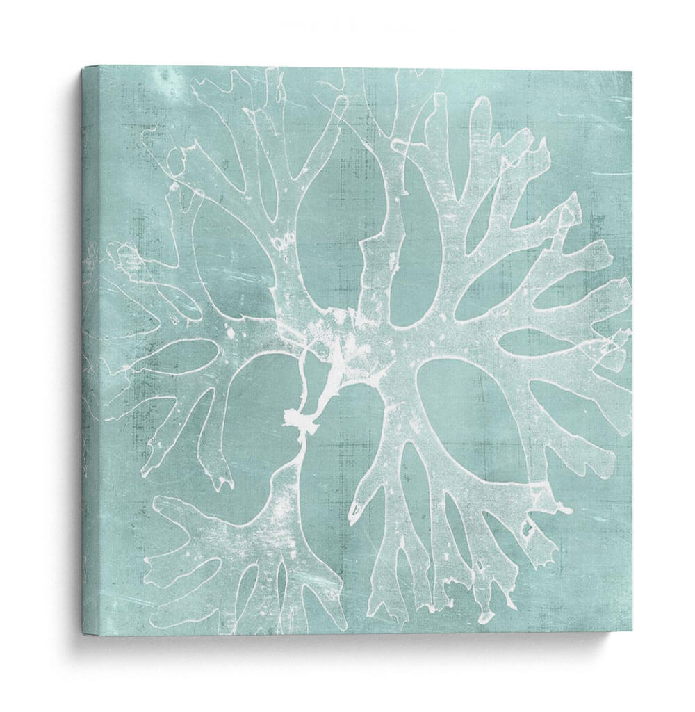 Algas En Aqua Iii - Vision Studio | Cuadro decorativo de Canvas Lab