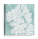 Algas Marinas En Aqua Iv - Vision Studio | Cuadro decorativo de Canvas Lab