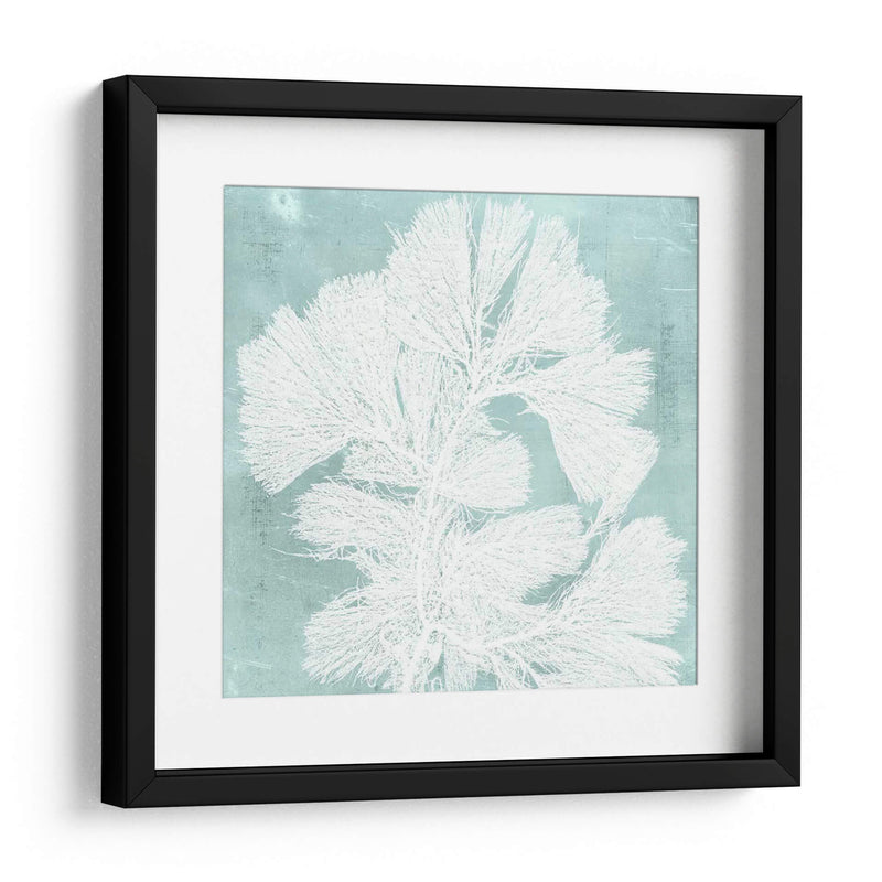 Algas Marinas En Aqua Iv - Vision Studio | Cuadro decorativo de Canvas Lab