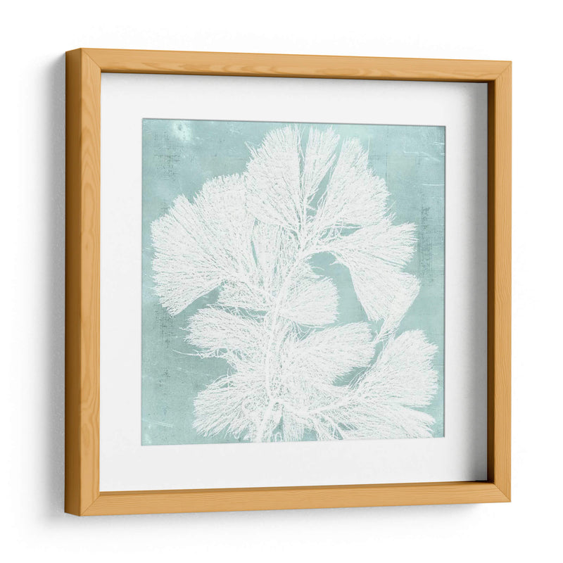 Algas Marinas En Aqua Iv - Vision Studio | Cuadro decorativo de Canvas Lab