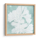 Algas Marinas En Aqua Iv - Vision Studio | Cuadro decorativo de Canvas Lab