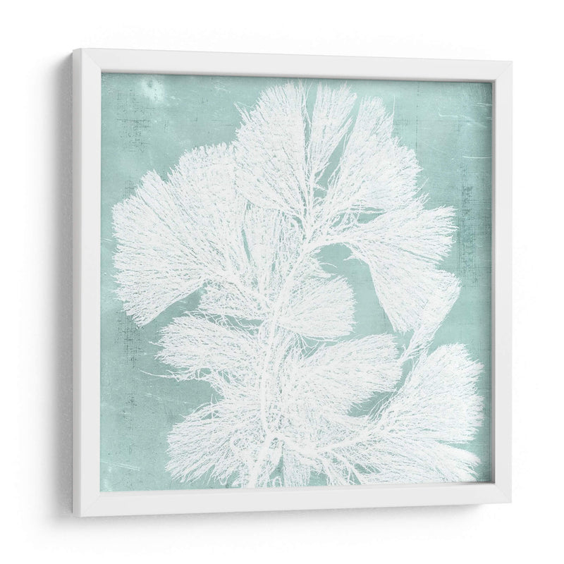 Algas Marinas En Aqua Iv - Vision Studio | Cuadro decorativo de Canvas Lab