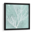 Algas En Aqua Vii - Vision Studio | Cuadro decorativo de Canvas Lab
