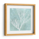 Algas En Aqua Vii - Vision Studio | Cuadro decorativo de Canvas Lab