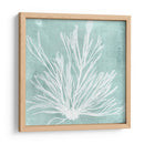 Algas Marinas En Aqua Ix - Vision Studio | Cuadro decorativo de Canvas Lab