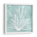 Algas Marinas En Aqua Ix - Vision Studio | Cuadro decorativo de Canvas Lab