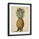 Brookshaw Antiguo Piña I - George Brookshaw | Cuadro decorativo de Canvas Lab