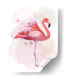 Fluffy Flamenco 2 - Fab Funky | Cuadro decorativo de Canvas Lab