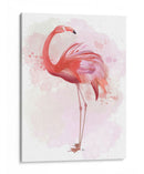 Fluffy Flamingo 3 - Fab Funky | Cuadro decorativo de Canvas Lab