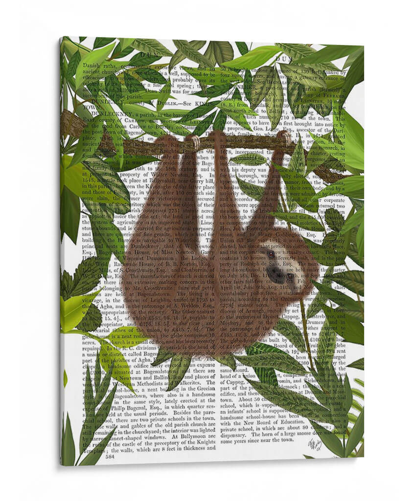 Pereza Colgando Alrededor - Fab Funky | Cuadro decorativo de Canvas Lab