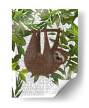 Pereza Colgando Alrededor - Fab Funky | Cuadro decorativo de Canvas Lab