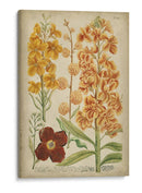 Weinmann Floral Tropical I - Weinmann | Cuadro decorativo de Canvas Lab