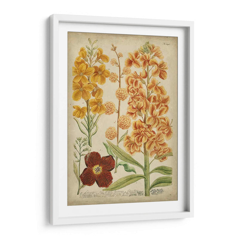 Weinmann Floral Tropical I - Weinmann | Cuadro decorativo de Canvas Lab