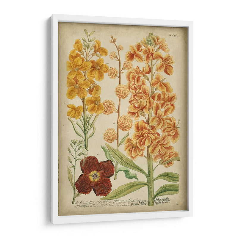 Weinmann Floral Tropical I - Weinmann | Cuadro decorativo de Canvas Lab