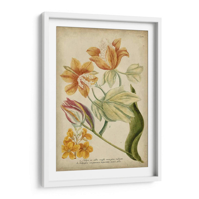 Weinmann Tropical Floral Ii - Weinmann | Cuadro decorativo de Canvas Lab