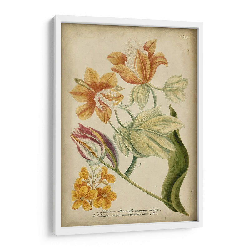 Weinmann Tropical Floral Ii - Weinmann | Cuadro decorativo de Canvas Lab