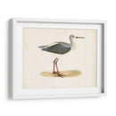 Morris Sandpiper I - Morris | Cuadro decorativo de Canvas Lab