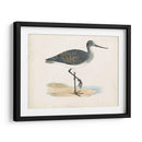 Morris Sandpiper Iii - Morris | Cuadro decorativo de Canvas Lab