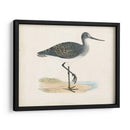 Morris Sandpiper Iii - Morris | Cuadro decorativo de Canvas Lab