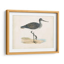 Morris Sandpiper Iii - Morris | Cuadro decorativo de Canvas Lab