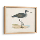Morris Sandpiper Iii - Morris | Cuadro decorativo de Canvas Lab