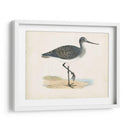 Morris Sandpiper Iii - Morris | Cuadro decorativo de Canvas Lab