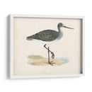 Morris Sandpiper Iii - Morris | Cuadro decorativo de Canvas Lab