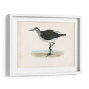 Morris Sandpiper Vi - Morris | Cuadro decorativo de Canvas Lab