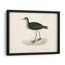 Morris Sandpiper Viii - Morris | Cuadro decorativo de Canvas Lab