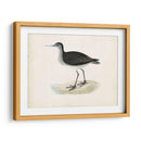 Morris Sandpiper Viii - Morris | Cuadro decorativo de Canvas Lab