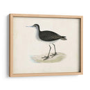 Morris Sandpiper Viii - Morris | Cuadro decorativo de Canvas Lab